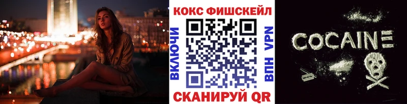 купить наркоту  Вилючинск  Cocaine FishScale 