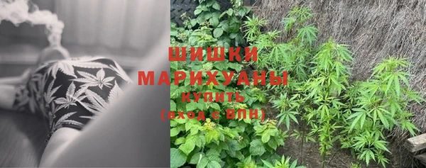 хмурый Балабаново