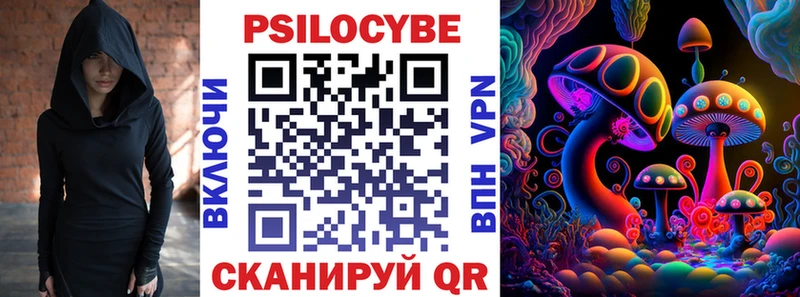 Псилоцибиновые грибы Psilocybe  где купить наркоту  Вилючинск 
